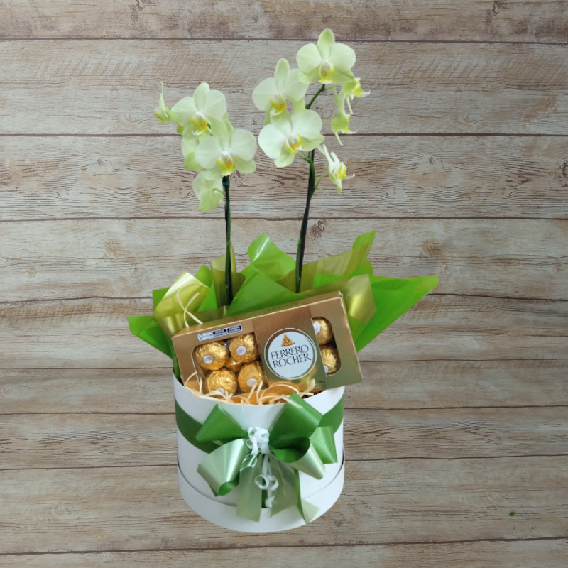 Mini Orquídea na Caixa com Ferrero Rocher - Cor variada